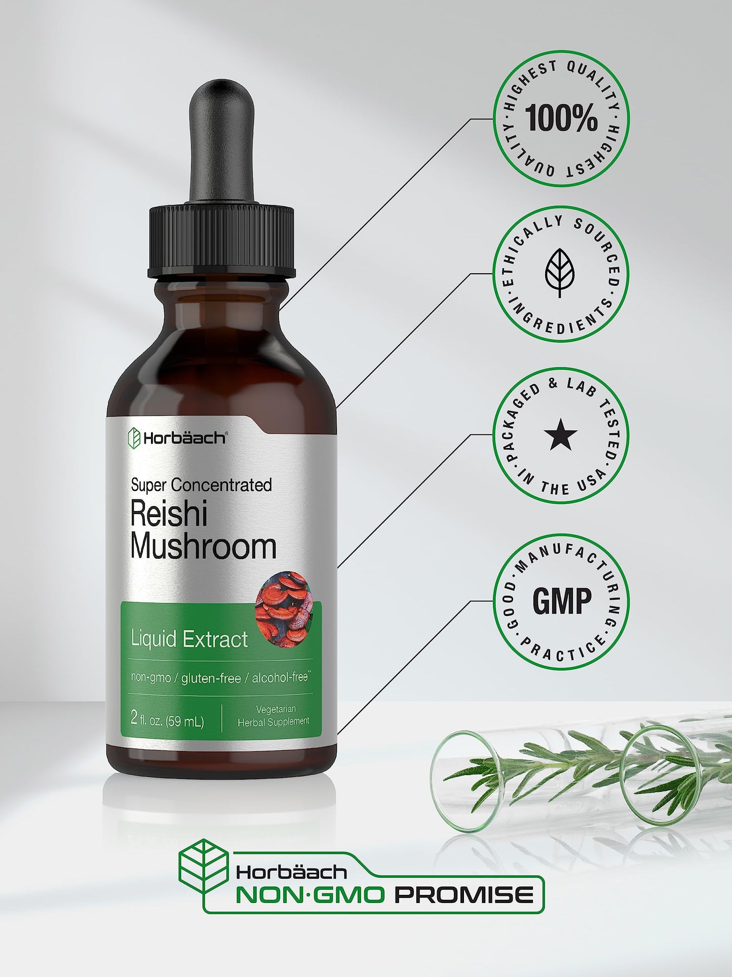 Horbäach Reishi Mushroom Extract Tincture – 2 Oz | Ganoderma Lucidum | Vegetarian, Alcohol Free, Non-GMO, Gluten Free