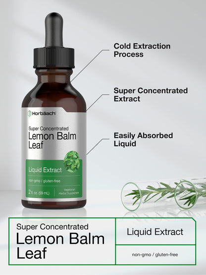 Horbäach Lemon Balm Tincture - 2 fl oz | Vegetarian Liquid Extract | Gluten Free & Non-GMO