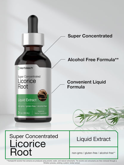 Horbäach Licorice Root Extract 2 oz – Alcohol-Free Tincture | Vegetarian Liquid Supplement | Non-GMO & Gluten Free