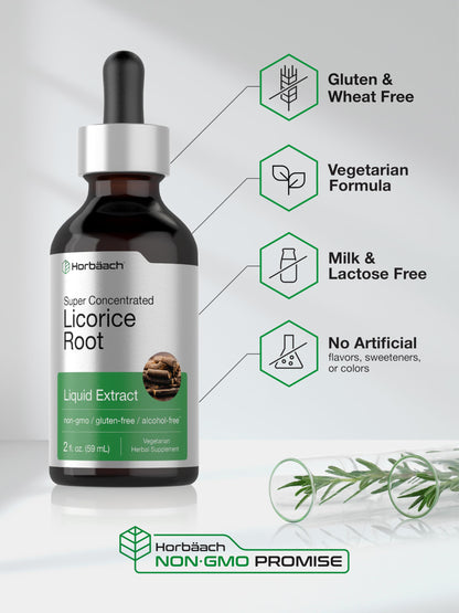 Horbäach Licorice Root Extract 2 oz – Alcohol-Free Tincture | Vegetarian Liquid Supplement | Non-GMO & Gluten Free