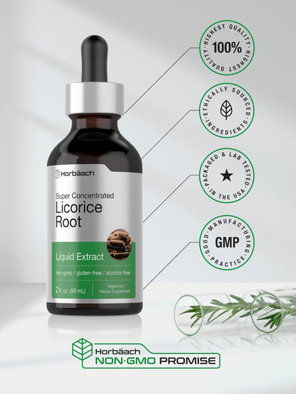 Horbäach Licorice Root Extract 2 oz – Alcohol-Free Tincture | Vegetarian Liquid Supplement | Non-GMO & Gluten Free
