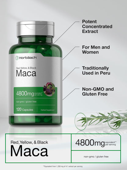 Horbäach Maca Root Capsules for Men and Women | 120 Pills | High Potency Extract | Non-GMO and Gluten Free Formula (Pack of 2)