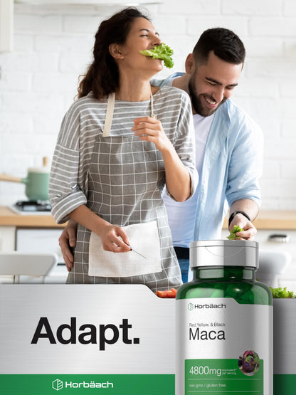 Horbäach Maca Root Capsules for Men and Women | 120 Pills | High Potency Extract | Non-GMO and Gluten Free Formula (Pack of 2)
