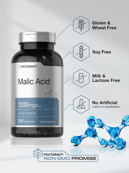Horbäach Malic Acid Capsules 1200mg | 250 Count | Non-GMO & Gluten Free
