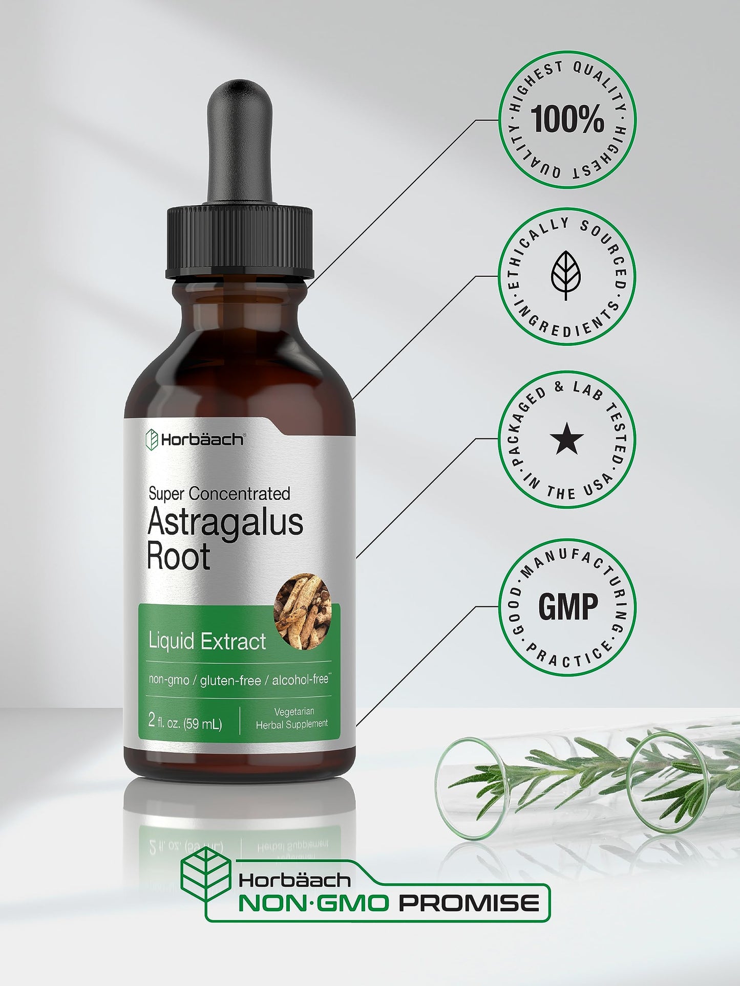 Horbäach Astragalus Root Extract Liquid - 2 fl oz | Alcohol-Free Tincture | Super Concentrated | Vegetarian, Non-GMO, Gluten Free