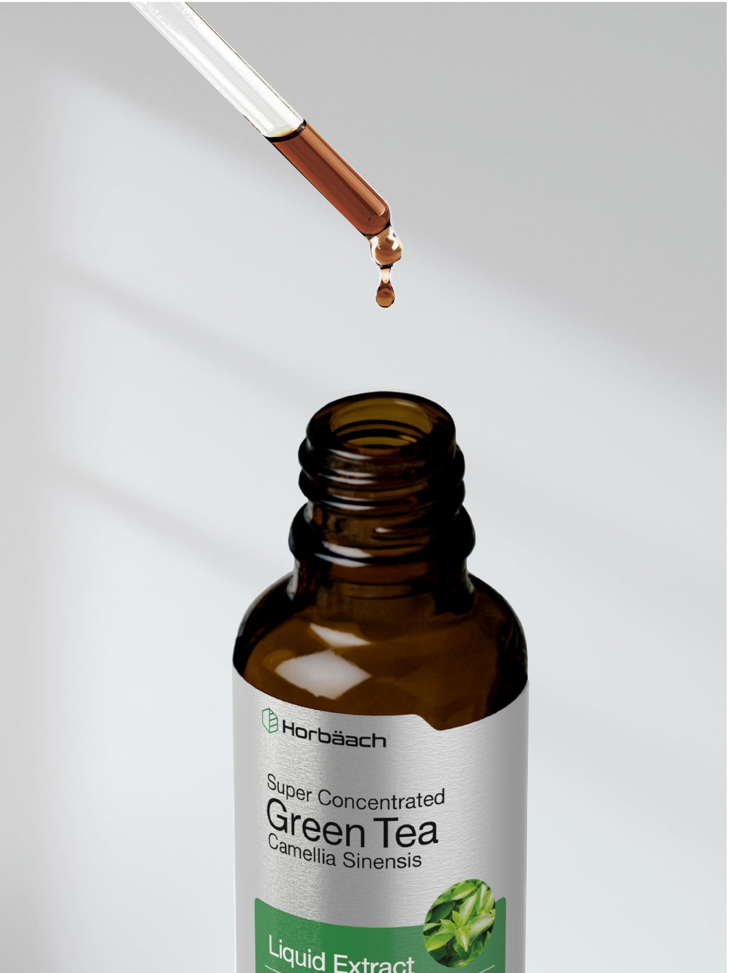 Horbäach Green Tea Extract Liquid Drops | 2 Fl Oz | Alcohol Free | Vegetarian | Super Concentrated Supplement | Non-GMO, Gluten Free