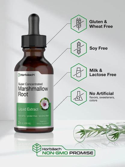 Horbäach Marshmallow Root Extract Tincture 2 fl oz – Alcohol Free