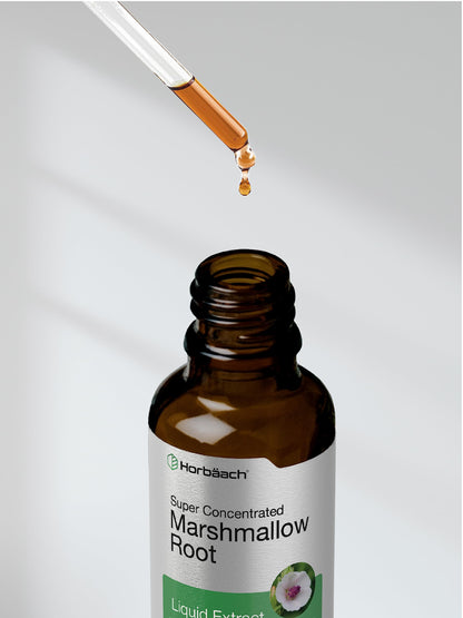 Horbäach Marshmallow Root Extract Tincture 2 fl oz – Alcohol Free