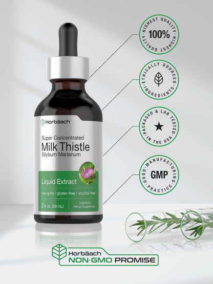 Horbäach Milk Thistle Extract Liquid – 2 fl oz, Alcohol Free, Vegetarian, Non-GMO & Gluten Free