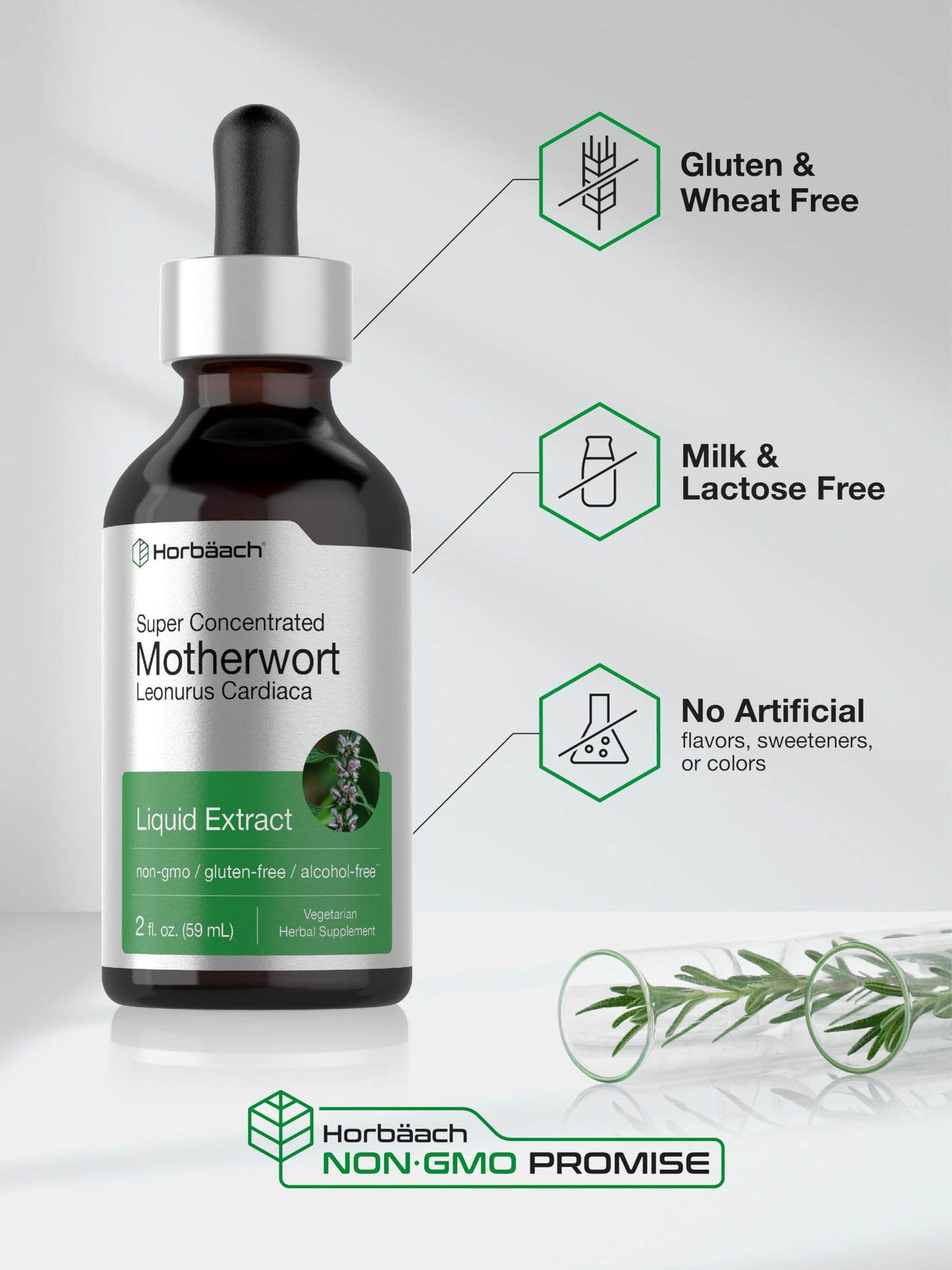Horbaach Motherwort Tincture Herbal Extract - 2 fl oz - Alcohol Free - Non-GMO & Gluten Free