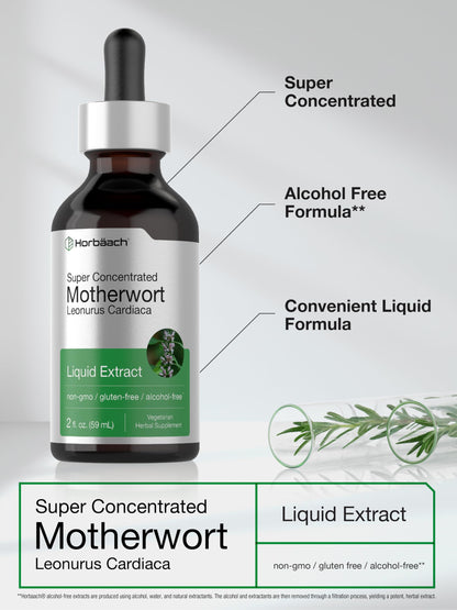 Horbaach Motherwort Tincture Herbal Extract - 2 fl oz - Alcohol Free - Non-GMO & Gluten Free