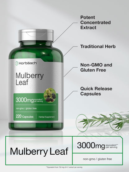 Horbäach Mulberry Leaf Extract Capsules 3000mg - 220 Count | Non-GMO, Gluten Free