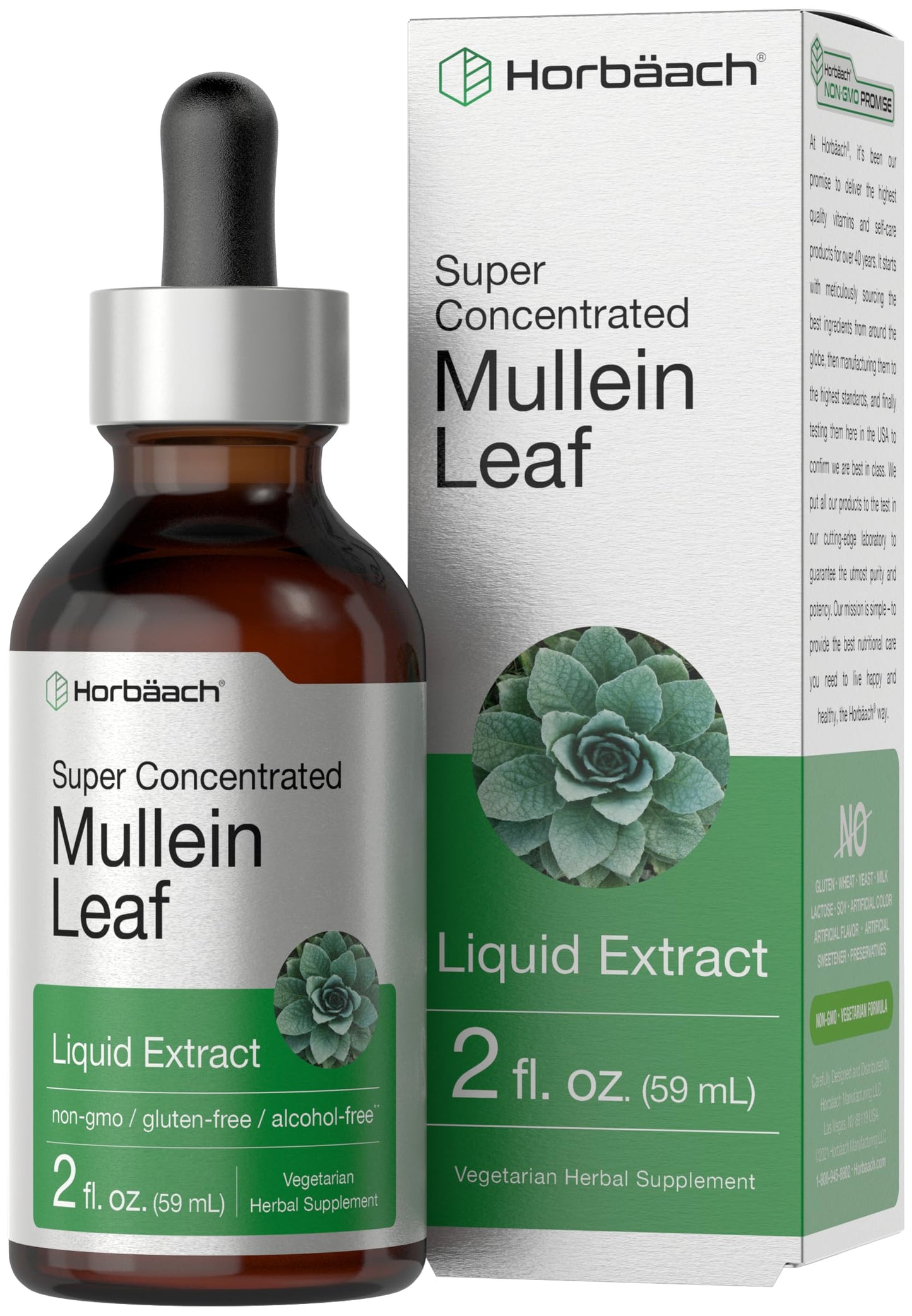 Horbäach Mullein Leaf Extract Drops – Alcohol Free, 2 fl oz | Vegetarian, Non-GMO & Gluten Free