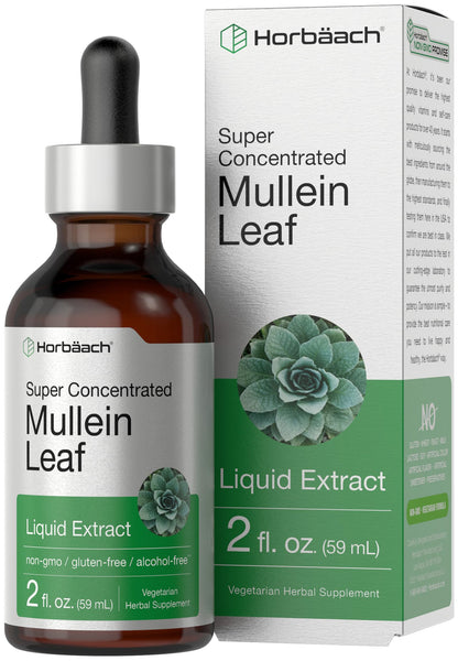 Horbäach Mullein Leaf Extract Drops – Alcohol Free, 2 fl oz | Vegetarian, Non-GMO & Gluten Free