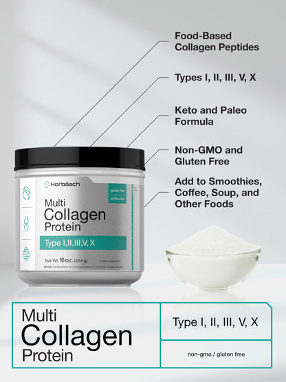 Horbäach Multi Collagen Protein Powder 16 oz | Type I–X | Unflavored | Non-GMO, Gluten Free