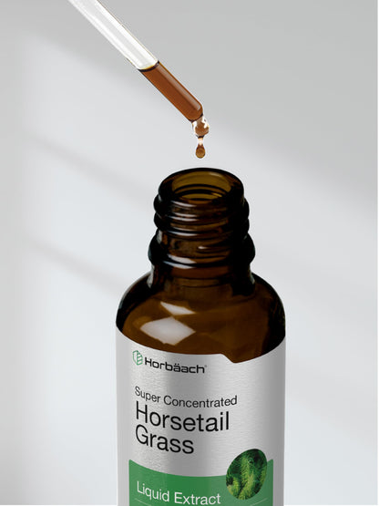 Horbaach Horsetail Liquid Extract - Alcohol Free, Gluten Free, Non-GMO | 2 fl oz