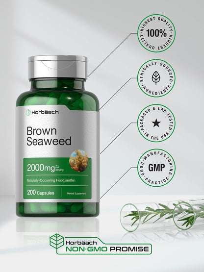 Horbäach Brown Seaweed Extract Capsules 2000mg – 200 Pills | Fucoxanthin, Non-GMO, Gluten Free