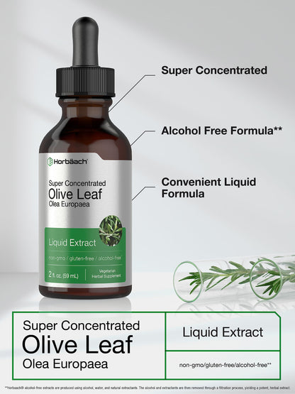 Horbäach Olive Leaf Extract Liquid - 2 fl oz | Super Strength | Alcohol Free, Vegetarian, Non-GMO, Gluten Free