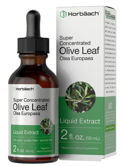 Horbäach Olive Leaf Extract Liquid - 2 fl oz | Super Strength | Alcohol Free, Vegetarian, Non-GMO, Gluten Free