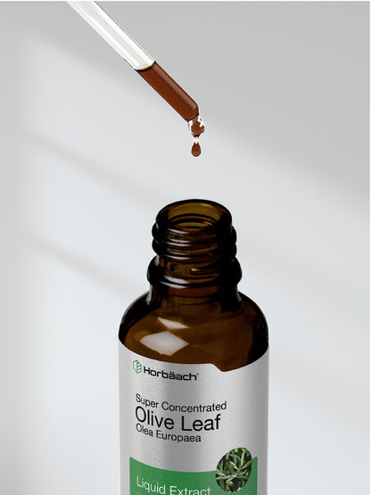 Horbäach Olive Leaf Extract Liquid - 2 fl oz | Super Strength | Alcohol Free, Vegetarian, Non-GMO, Gluten Free