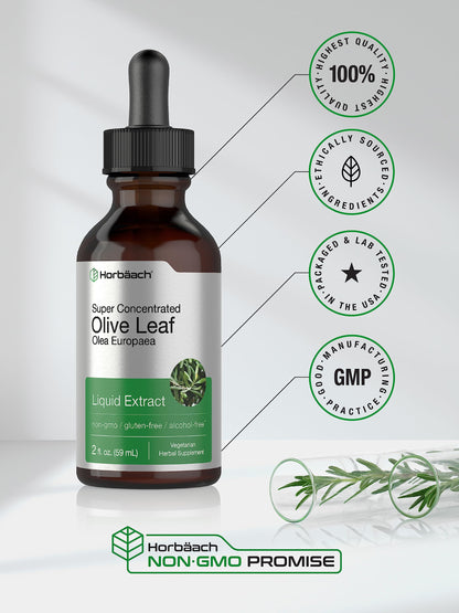Horbäach Olive Leaf Extract Liquid - 2 fl oz | Super Strength | Alcohol Free, Vegetarian, Non-GMO, Gluten Free