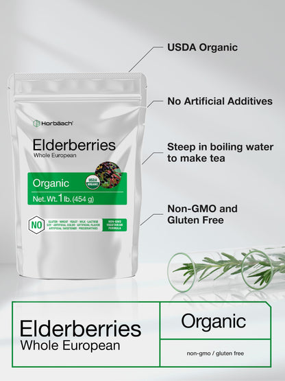 Horbaach Organic Dried Elderberries – 1 lb Bulk Bag | Sambucus Nigra | Non-GMO, Gluten Free