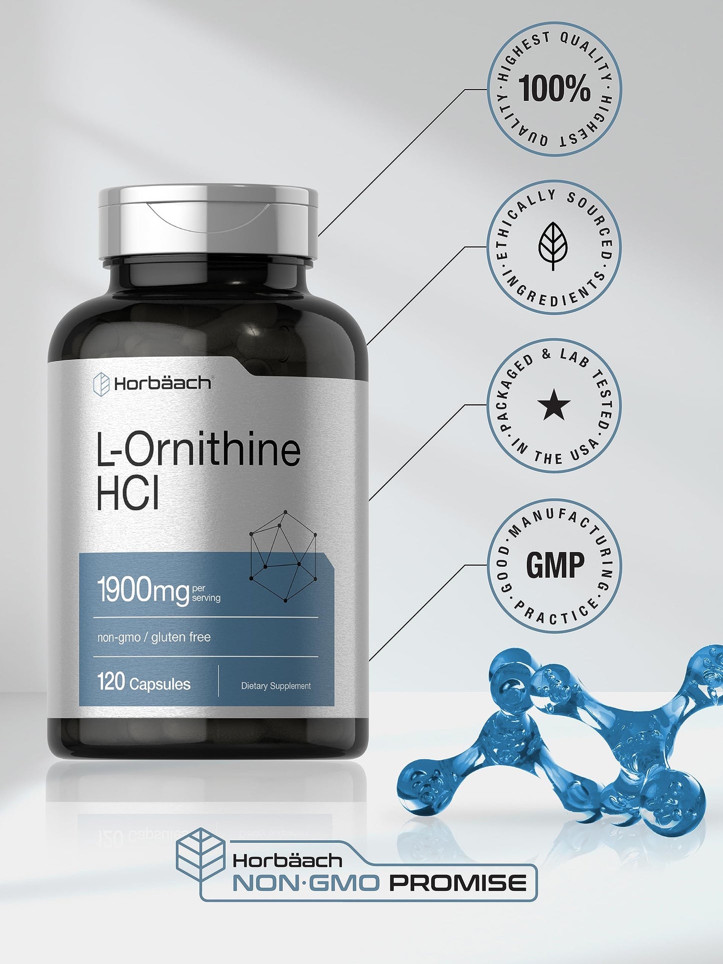 Horbäach L-Ornithine HCl 1900 mg | 120 Caps | Non-GMO & Gluten Free