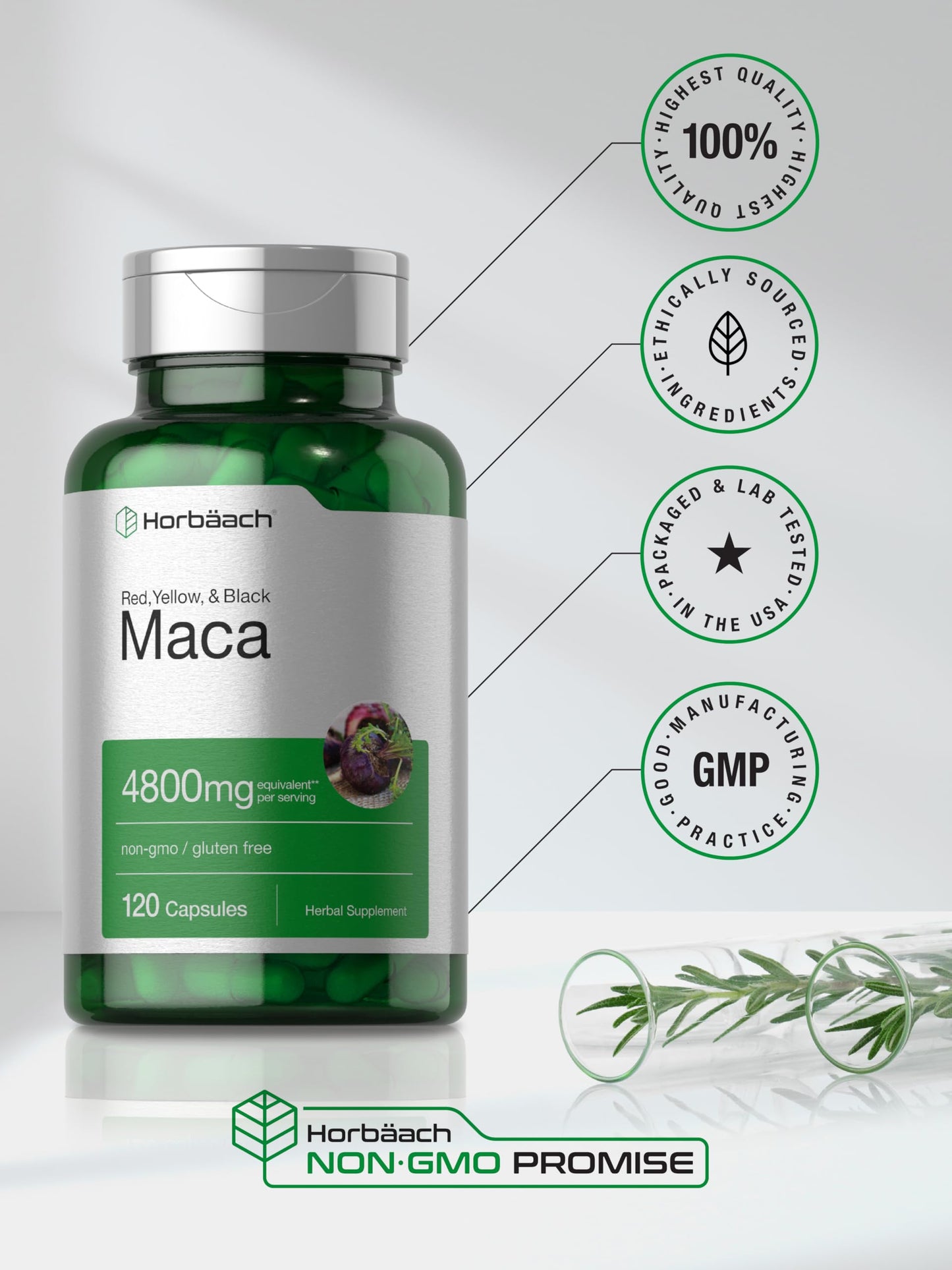 Horbäach Maca Root Capsules for Men and Women | 120 Pills | High Potency Extract | Non-GMO and Gluten Free Formula (Pack of 2)