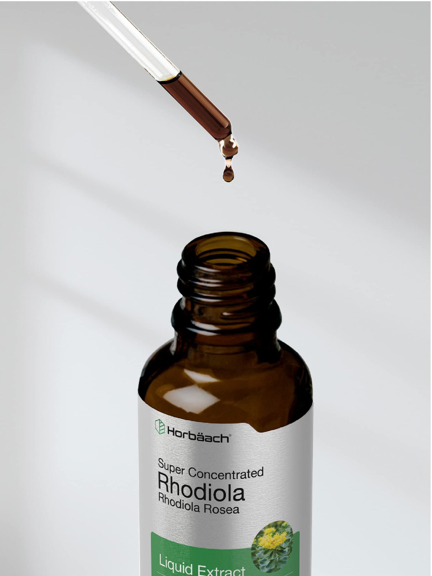 Horbaach Rhodiola Rosea Supplement Tincture - 2 fl oz | Alcohol-Free Extract | Vegetarian, Non-GMO, Gluten Free