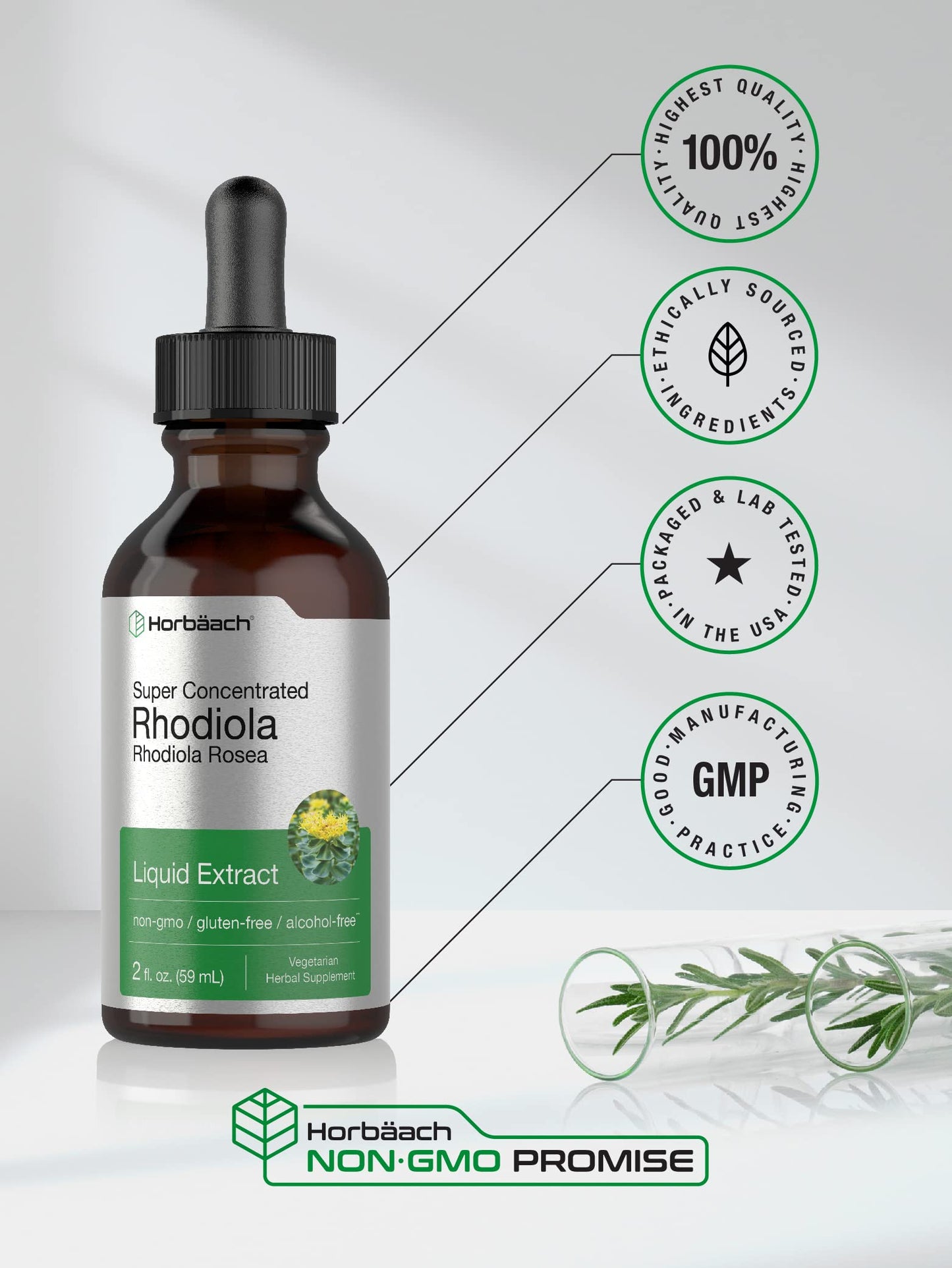 Horbaach Rhodiola Rosea Supplement Tincture - 2 fl oz | Alcohol-Free Extract | Vegetarian, Non-GMO, Gluten Free