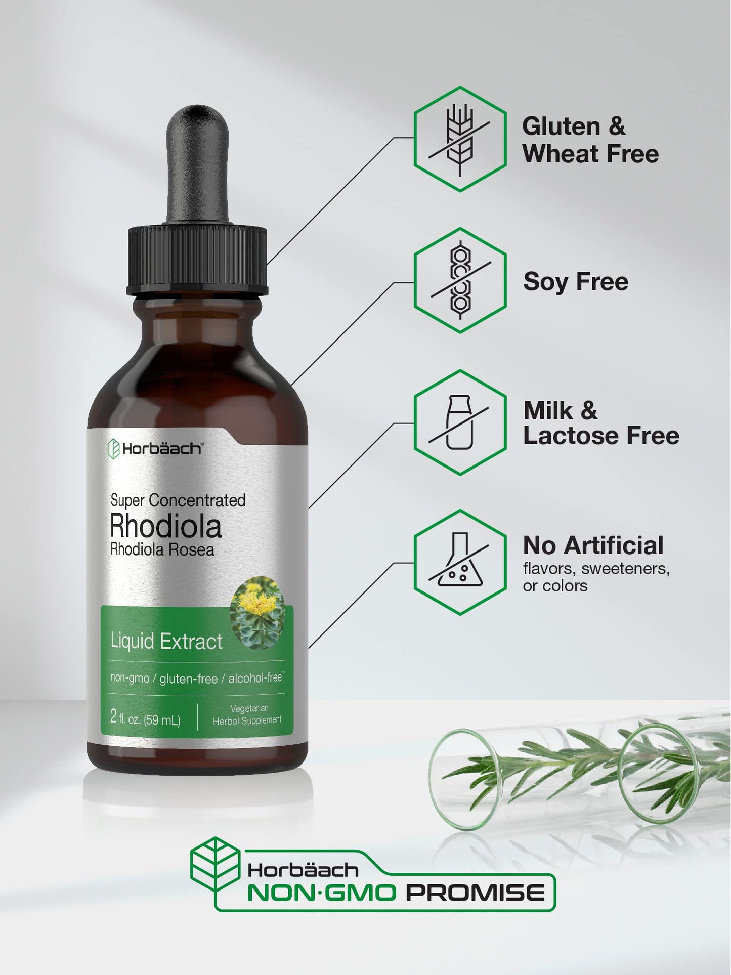 Horbaach Rhodiola Rosea Supplement Tincture - 2 fl oz | Alcohol-Free Extract | Vegetarian, Non-GMO, Gluten Free