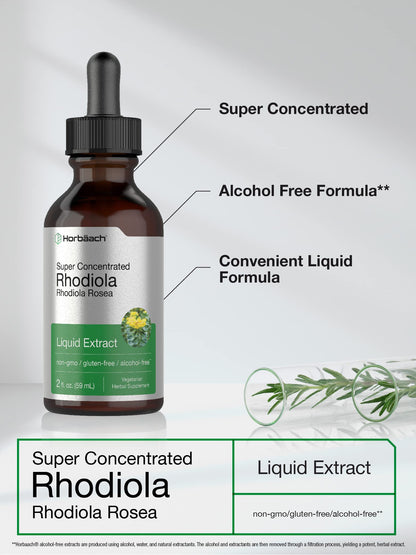 Horbaach Rhodiola Rosea Supplement Tincture - 2 fl oz | Alcohol-Free Extract | Vegetarian, Non-GMO, Gluten Free