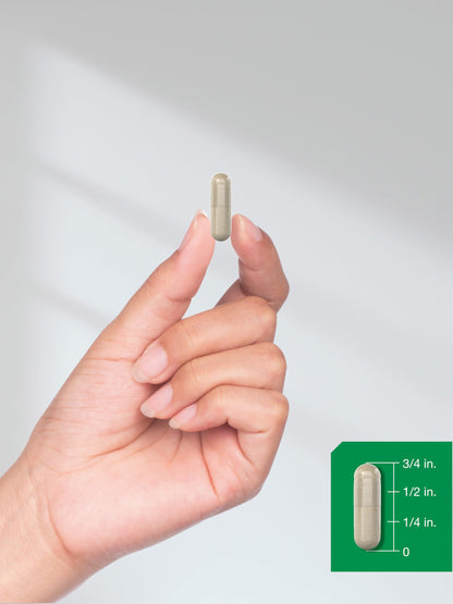 Horbaach Saw Palmetto Extract 900mg – 200 Capsules | Non-GMO & Gluten Free | Traditional Herb Supplement from Saw Palmetto Berries