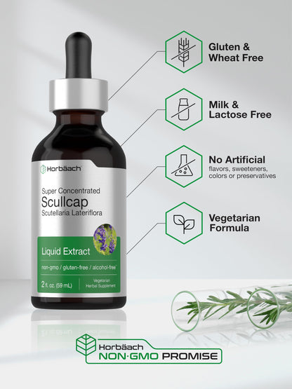 Horbaach Scullcap Herb Tincture - 2 fl oz - Alcohol-Free, Non-GMO & Gluten Free
