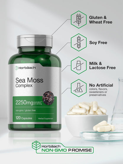 Horbäach Sea Moss Complex Capsules – 2250mg, 120 Count, Bladderwrack & Burdock Root – Non-GMO, Gluten Free