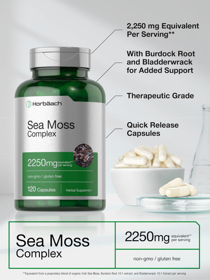 Horbäach Sea Moss Complex Capsules – 2250mg, 120 Count, Bladderwrack & Burdock Root – Non-GMO, Gluten Free