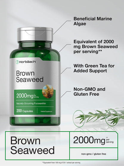 Horbäach Brown Seaweed Extract Capsules 2000mg – 200 Pills | Fucoxanthin, Non-GMO, Gluten Free