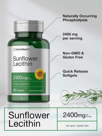 Horbäach Sunflower Lecithin Softgel Capsules 2400mg | 60 Softgels | Non-GMO Gluten Free