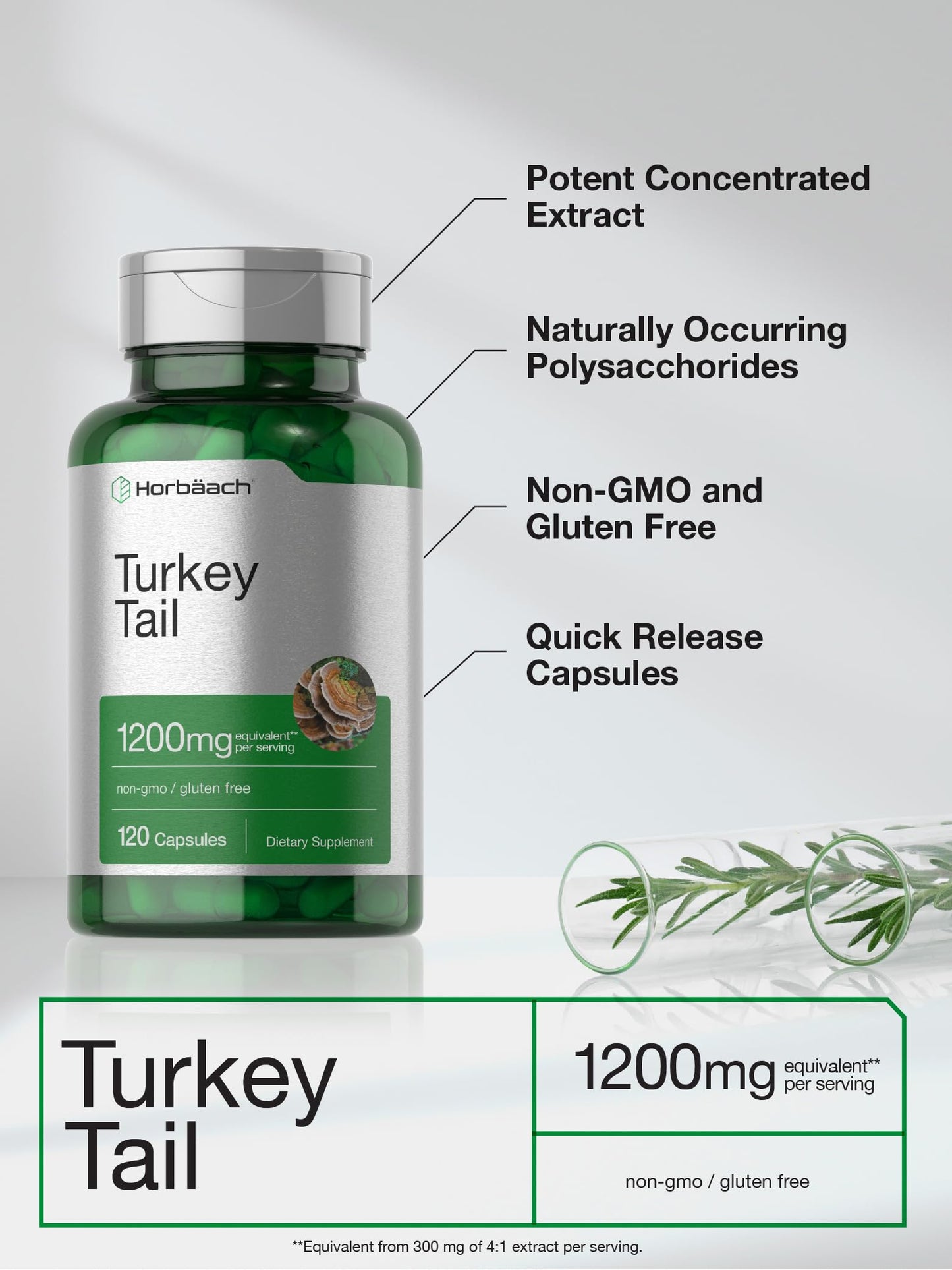 Horbäach Turkey Tail Mushroom Capsules - 1200mg, 120 Count | Non-GMO, Gluten Free