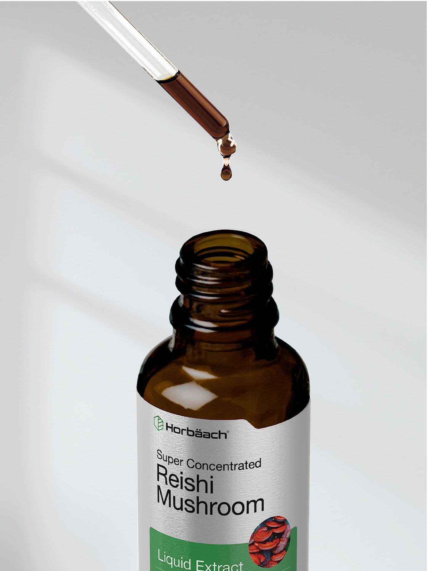 Horbäach Reishi Mushroom Extract Tincture – 2 Oz | Ganoderma Lucidum | Vegetarian, Alcohol Free, Non-GMO, Gluten Free