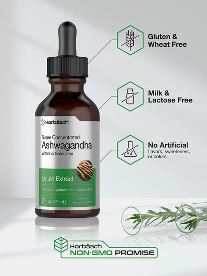 Horbäach Ashwagandha Liquid Drops - 2 Fl Oz | Alcohol-Free Tincture | Vegetarian, Non-GMO
