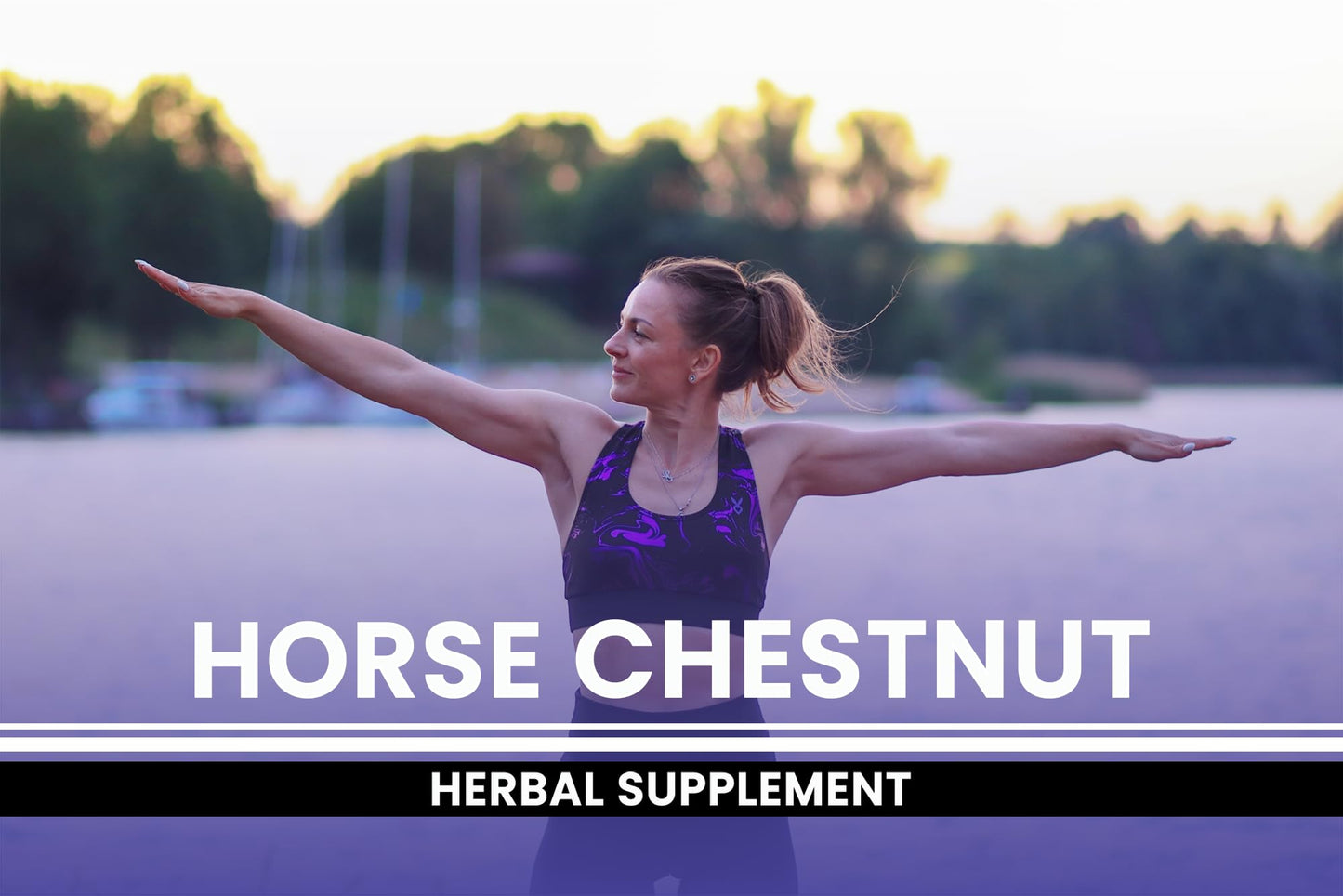 PURE ORIGINAL INGREDIENTS Horse Chestnut (365 Capsule), No Magnesium Or Rice Fillers, Always Pure, Lab Verified
