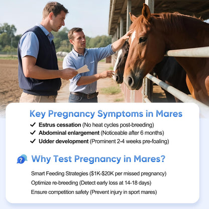 Horse Pregnancy Test Kit for Mares - Rapid Urine Test Strips, 10 Minutes, Easy-to-Use Breeding Detection (18-90 Days After Breeding)