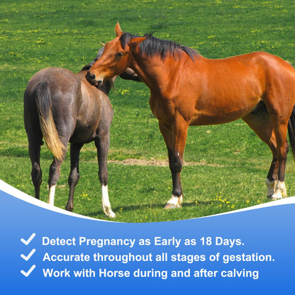 Horse Pregnancy Test Kit for Mares - Rapid Urine Test Strips, 10 Minutes, Easy-to-Use Breeding Detection (18-90 Days After Breeding)