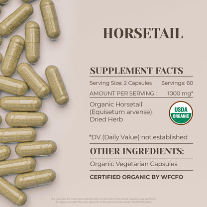 USDA Organic Horsetail Capsules 120 | High-Potency Equisetum Supplement