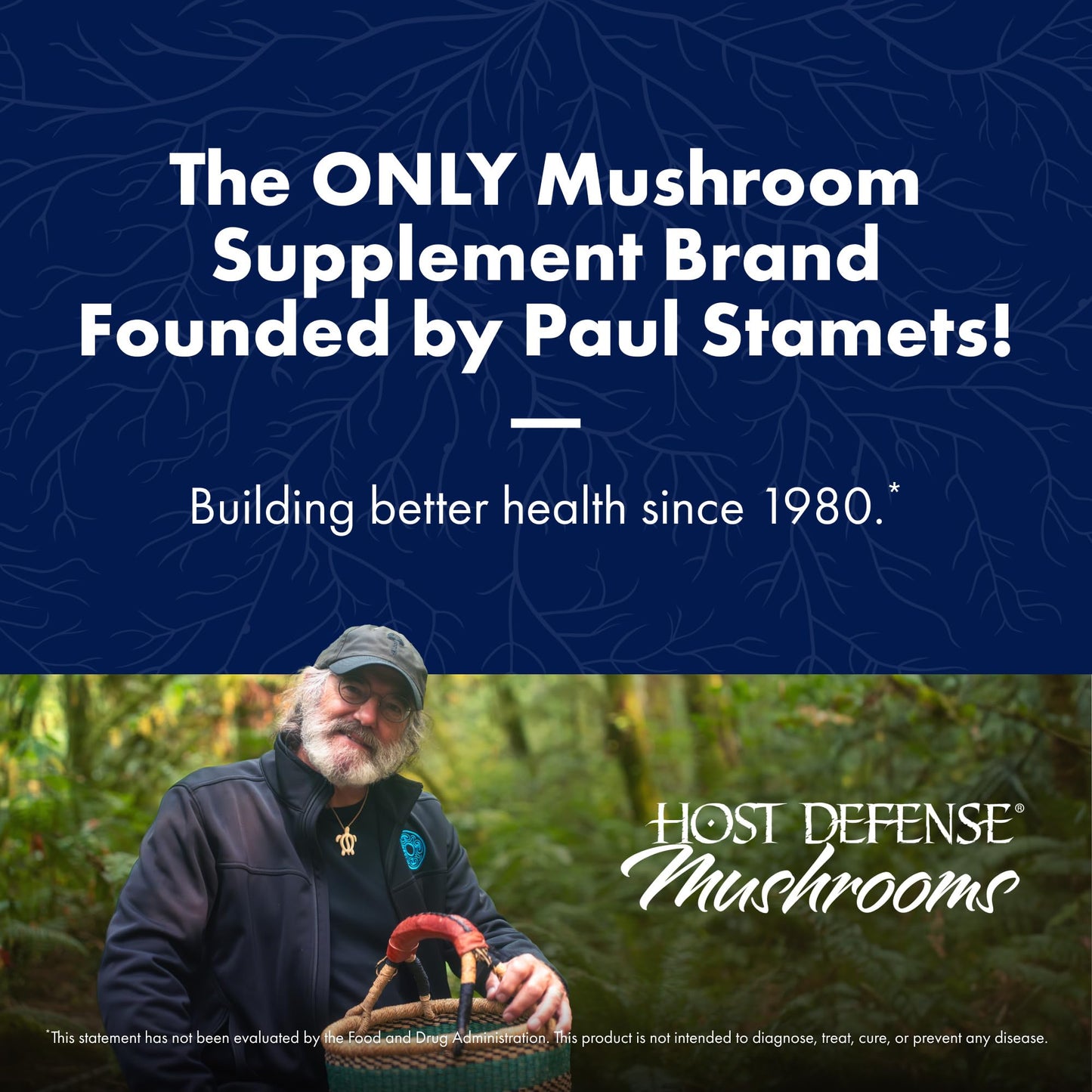 Host Defense BrainPower Stack Powder - Brain Support Supplement with Lion's Mane, Niacin (B3) & Vitamin B12 | 100g (66 Servings)