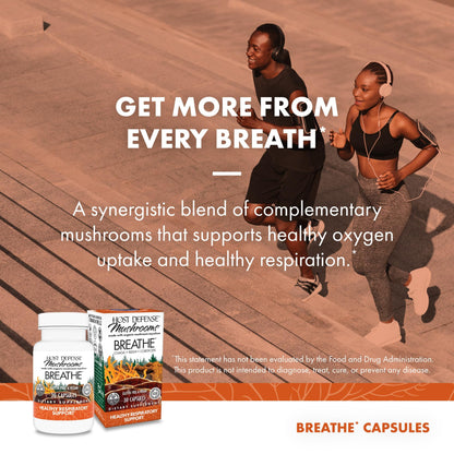 Host Defense Breathe Capsules – Immune & Respiratory Support (Pack of 2) | Chaga, Reishi & Cordyceps