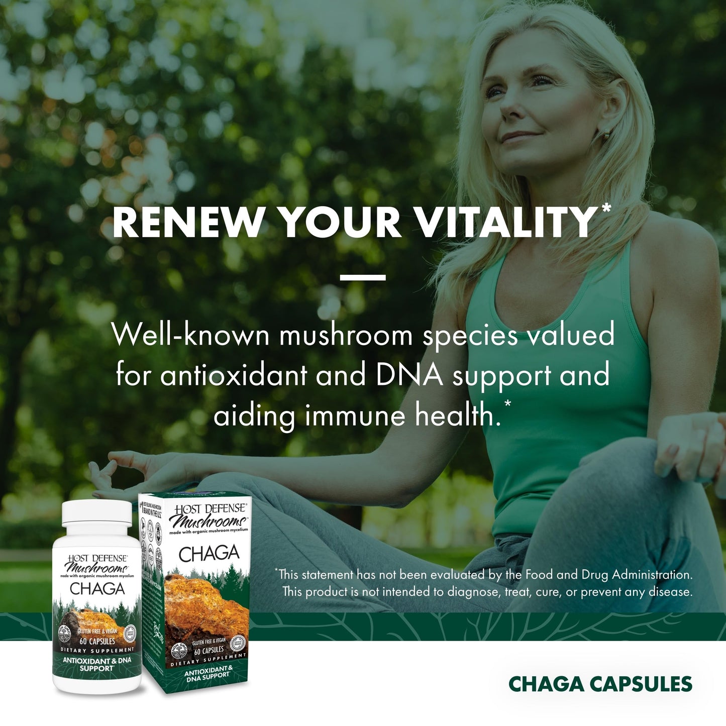 Host Defense Chaga Capsules – Immune Support & Antioxidant Mushroom Supplement | 60 Capsules (30 Servings)