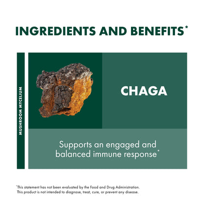 Host Defense Chaga Capsules – Immune Support & Antioxidant Mushroom Supplement | 60 Capsules (30 Servings)