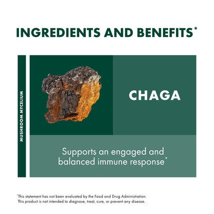 Host Defense Chaga Extract - Immune Support & Antioxidant Boost | 1 fl oz